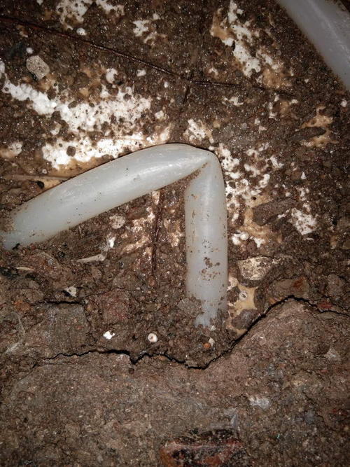 成安堵点精准查找